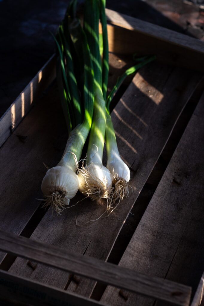 Foto di Tre cipollotti su cassetta di legno con luci ed ombre